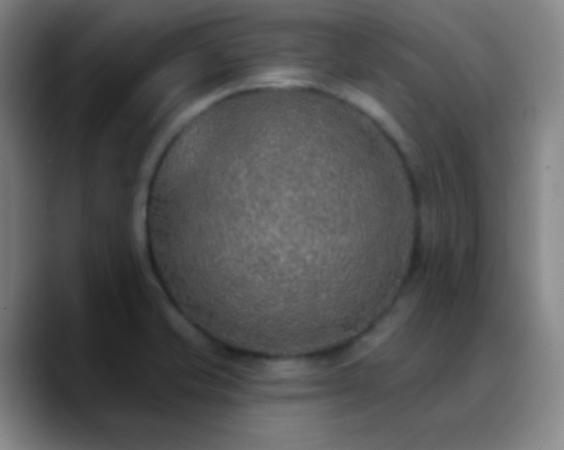 X0000090751421200707201440