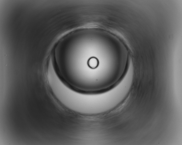 X0000090751422200707201440