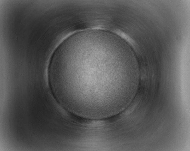 X0000090751423200707201440
