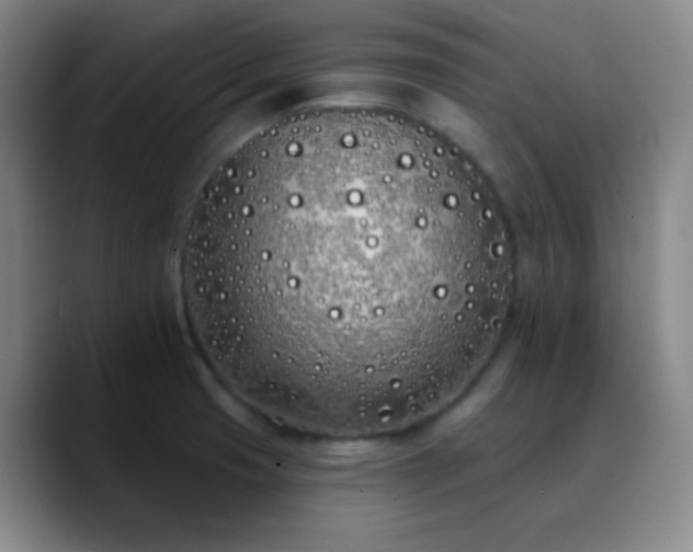 X0000090751425200707201440