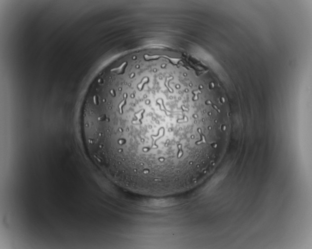 X0000090751427200707201440