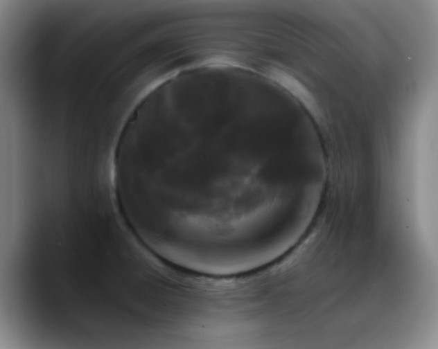X0000090751428200707201440