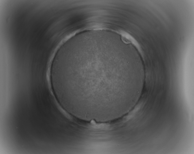 X0000090751429200707201440