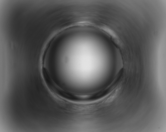 X0000090751430200707201440