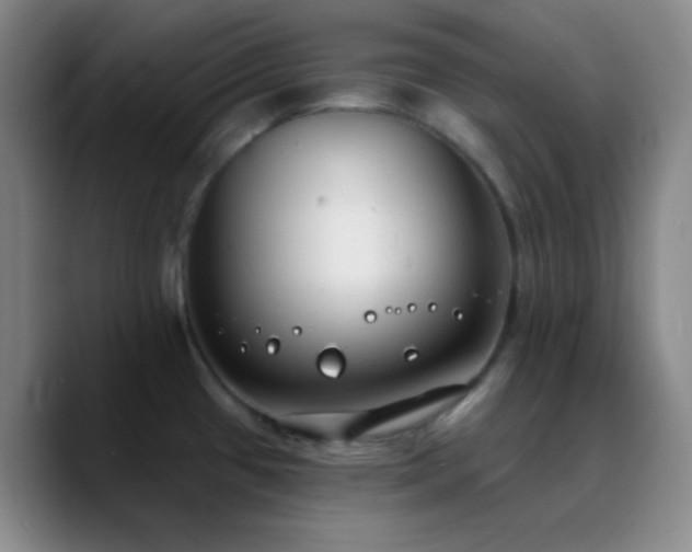 X0000090751433200707201440