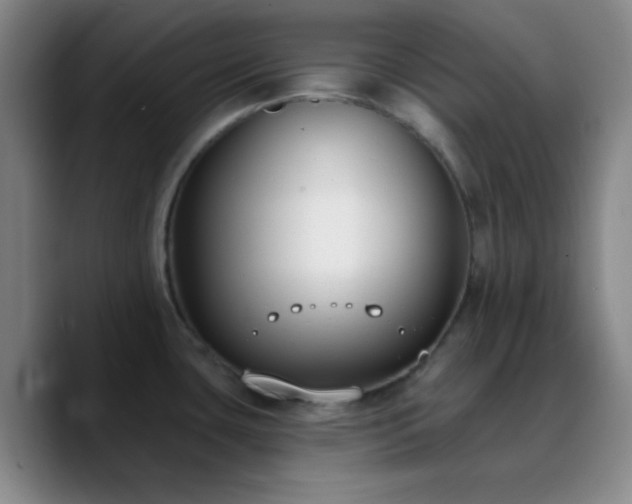 X0000090751435200707201440