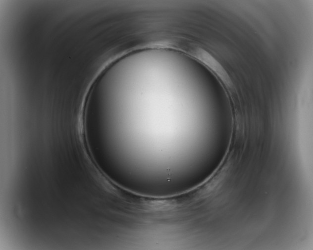 X0000090751436200707201440
