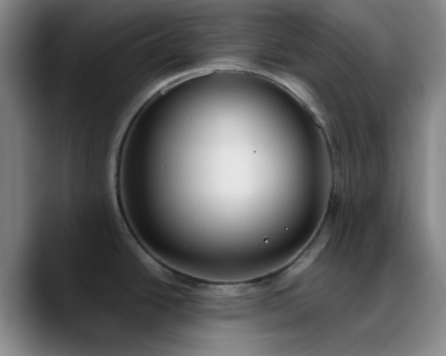 X0000090751438200707201440