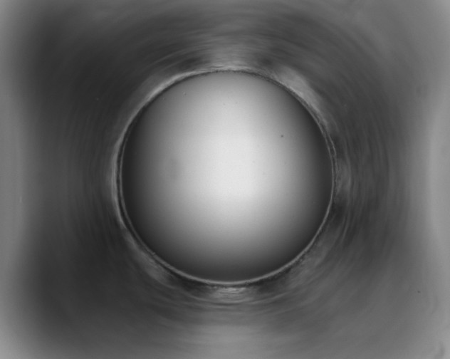 X0000090751439200707201440