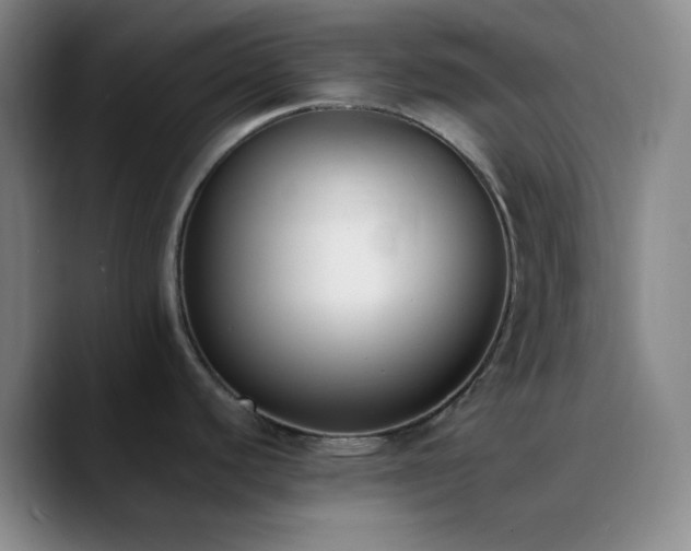 X0000090751440200707201440