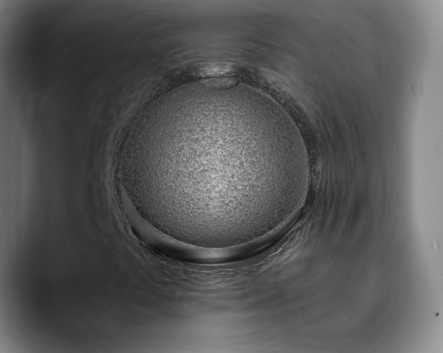 X0000090751441200707201440