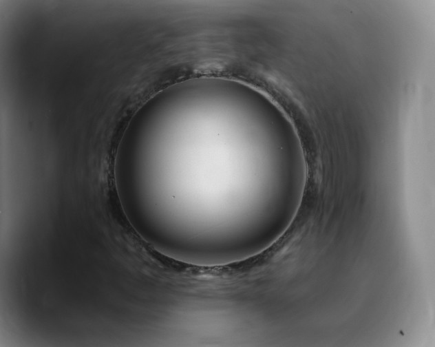 X0000090751445200707201440