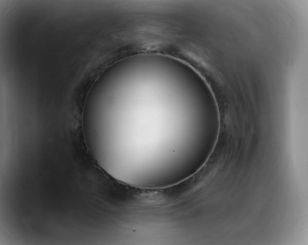 X0000090751447200707201440