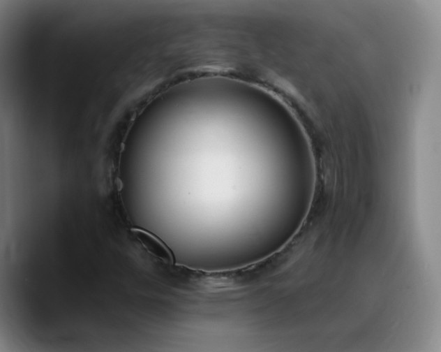 X0000090751448200707201440