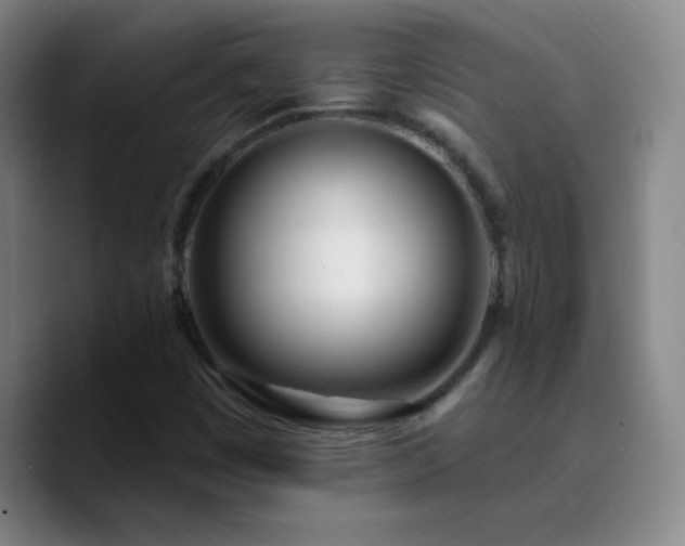 X0000090751449200707201440