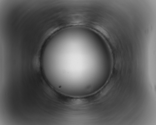 X0000090751458200707201440