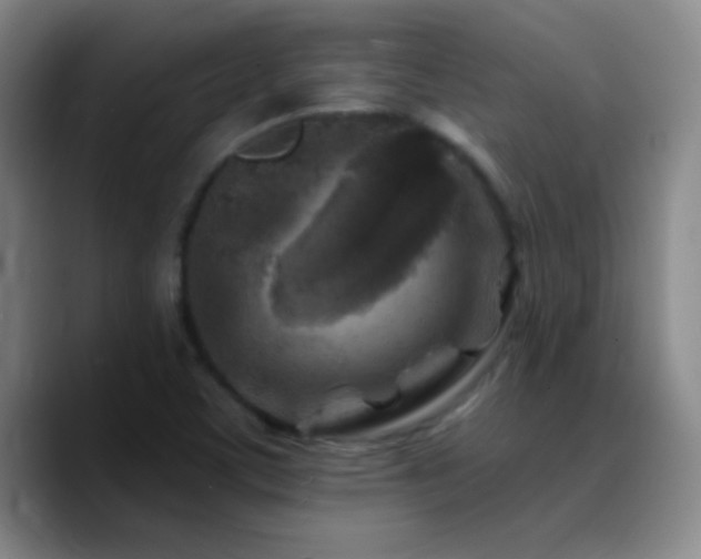 X0000090751459200707201440