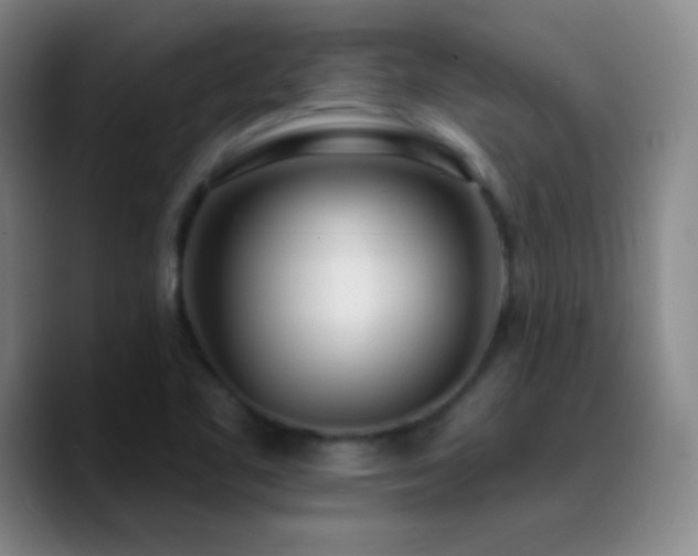 X0000090751461200707201440