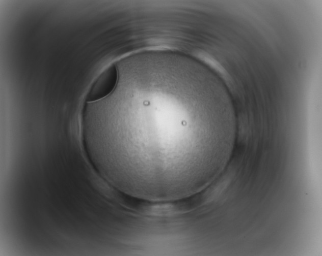 X0000090751467200707201439