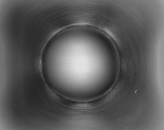 X0000090751468200707201439