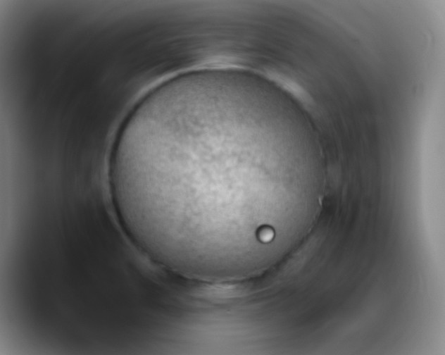 X0000090751470200707201439