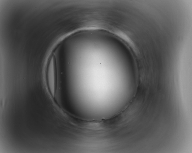 X0000090751472200707201439