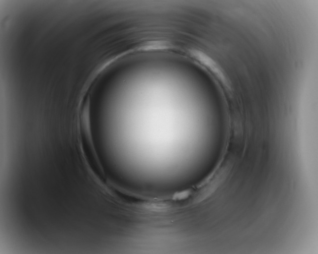 X0000090751473200707201439