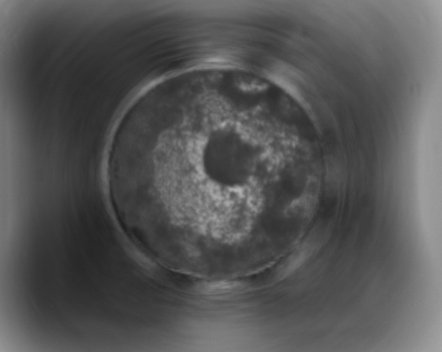 X0000090751474200707201439