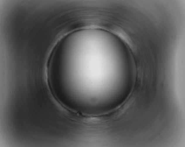 X0000090751476200707201439