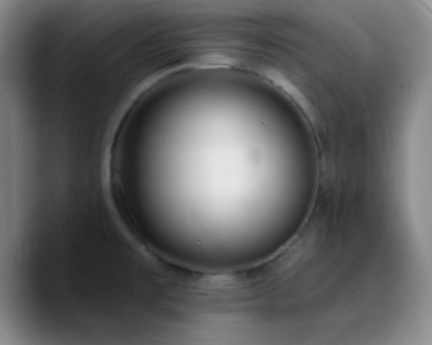 X0000090751477200707201439
