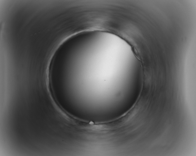 X0000090751479200707201439