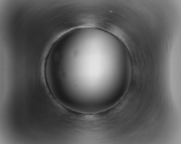 X0000090751480200707201439