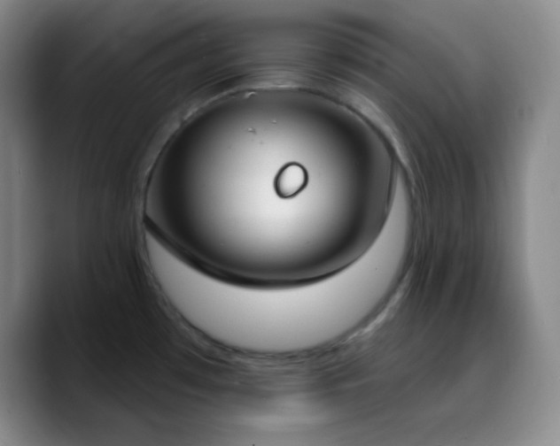X0000090751481200707201439