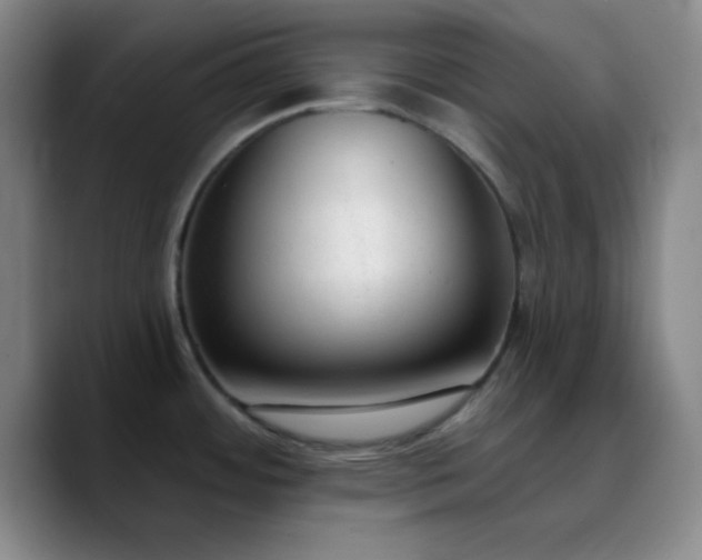 X0000090751484200707201439