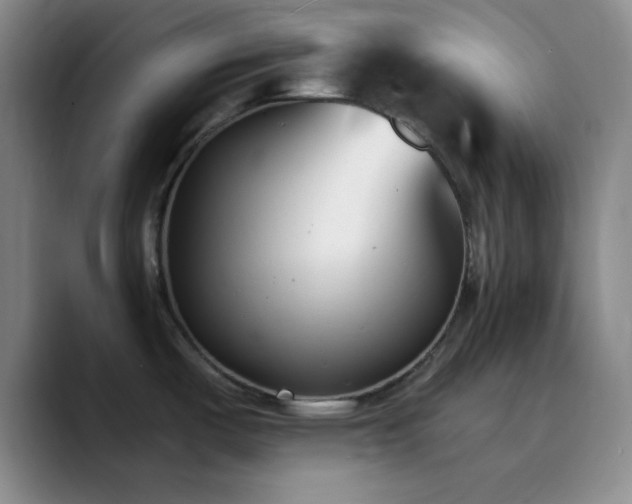 X0000090751487200707201439