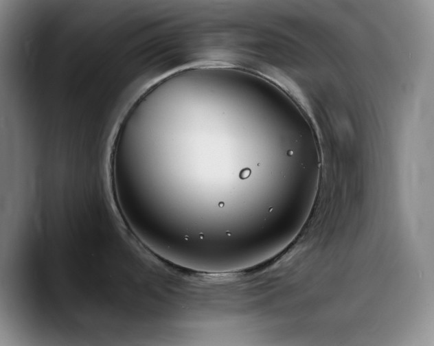 X0000090751488200707201439
