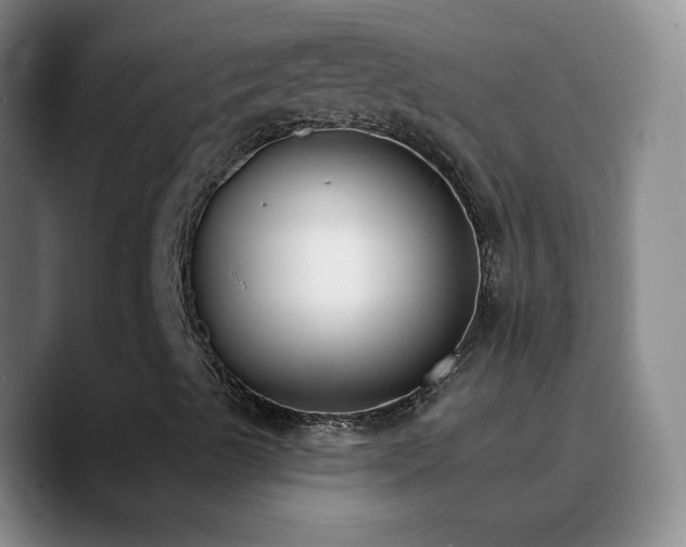 X0000090751489200707201439