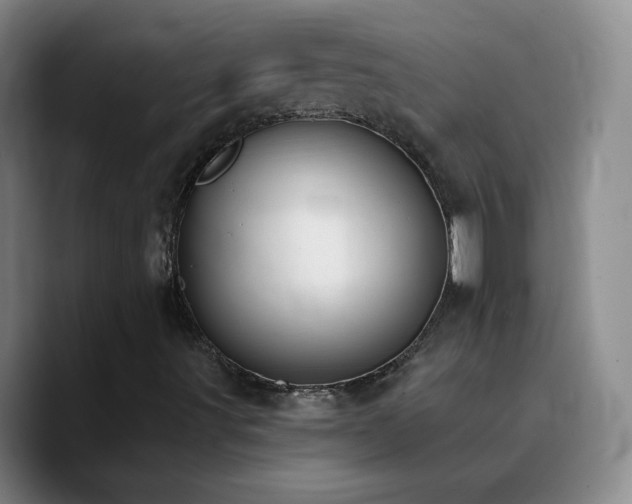 X0000090751491200707201439