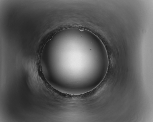 X0000090751494200707201439