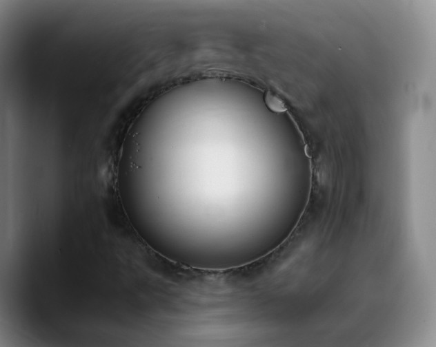 X0000090751495200707201439