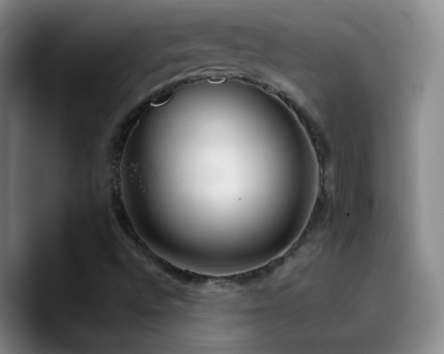 X0000090751496200707201439