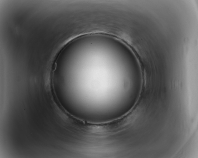 X0000090751500200707201439