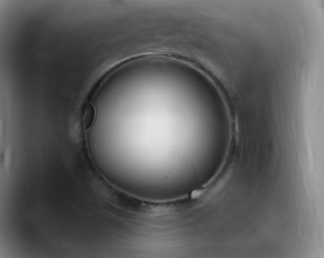 X0000090751501200707201439
