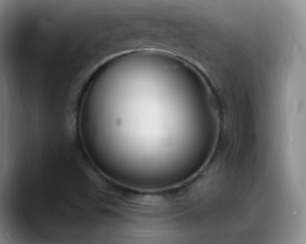 X0000090751503200707201439