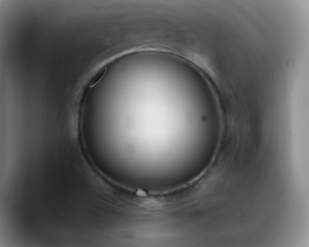 X0000090751504200707201439
