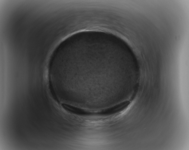 X0000090751506200707201439