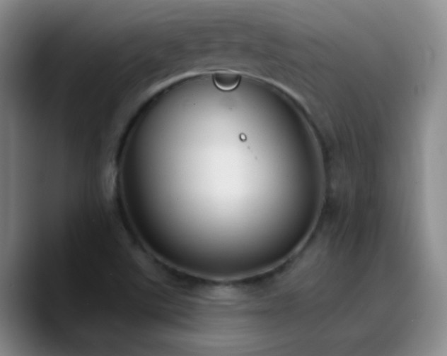 X0000090751507200707201439