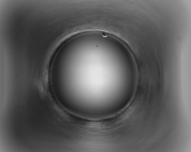X0000090751511200707201439
