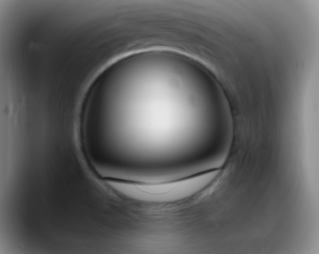 X0000090751518200707201439