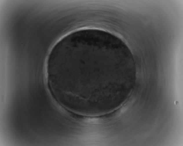 X0000090751522200707201439
